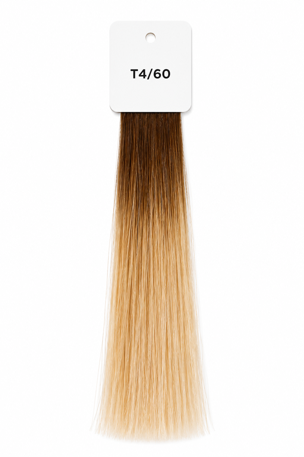 Honey Latte Ombré (T4/60)