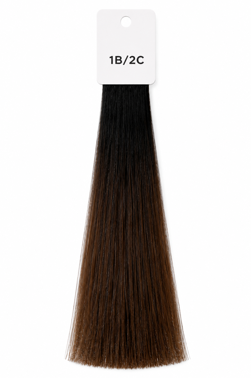 Chocolate Mocha Ombre (1B/2C)